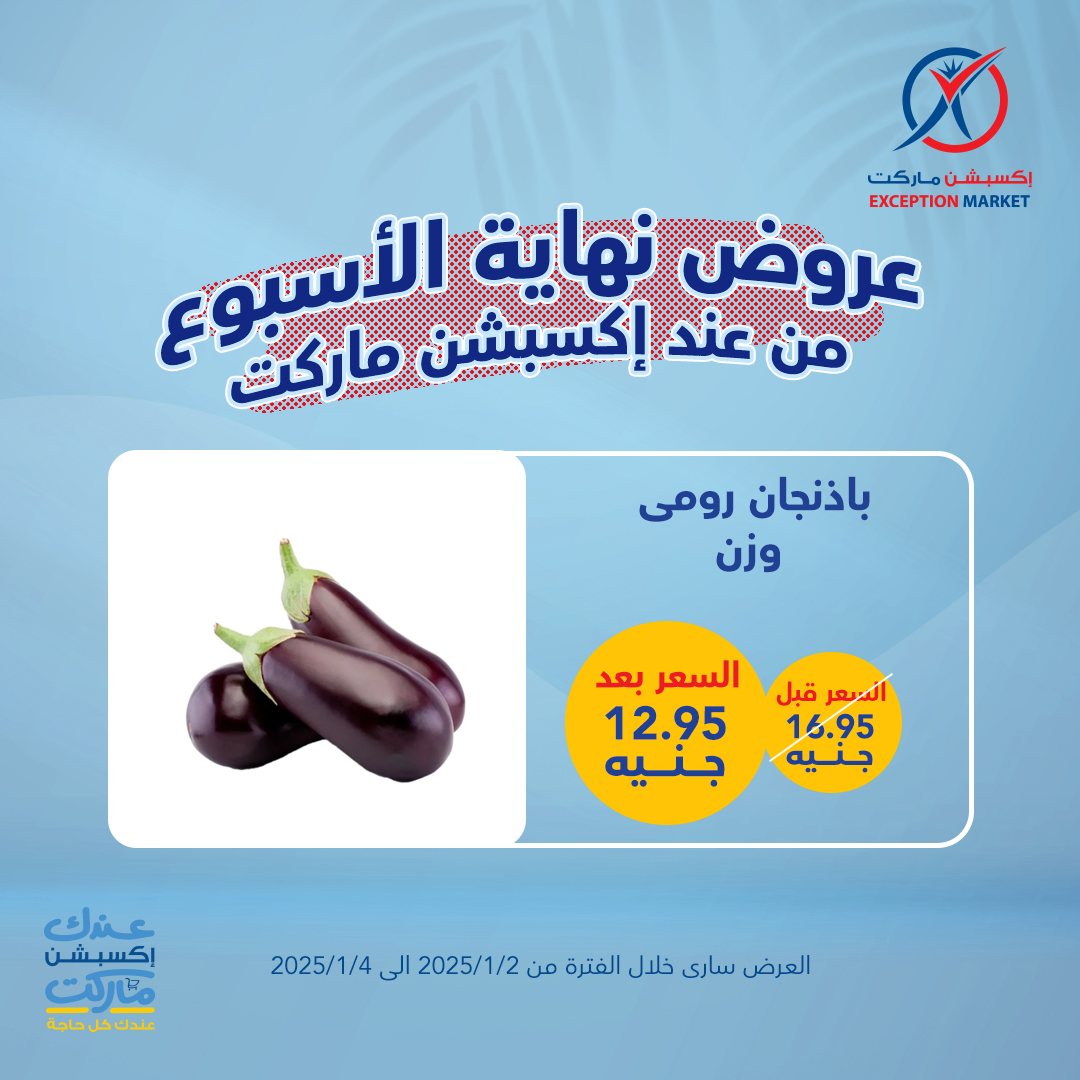 exception offers from 2jan to 4jan 2025 عروض اكسبشن من 2 يناير حتى 4 يناير 2025 صفحة رقم 8